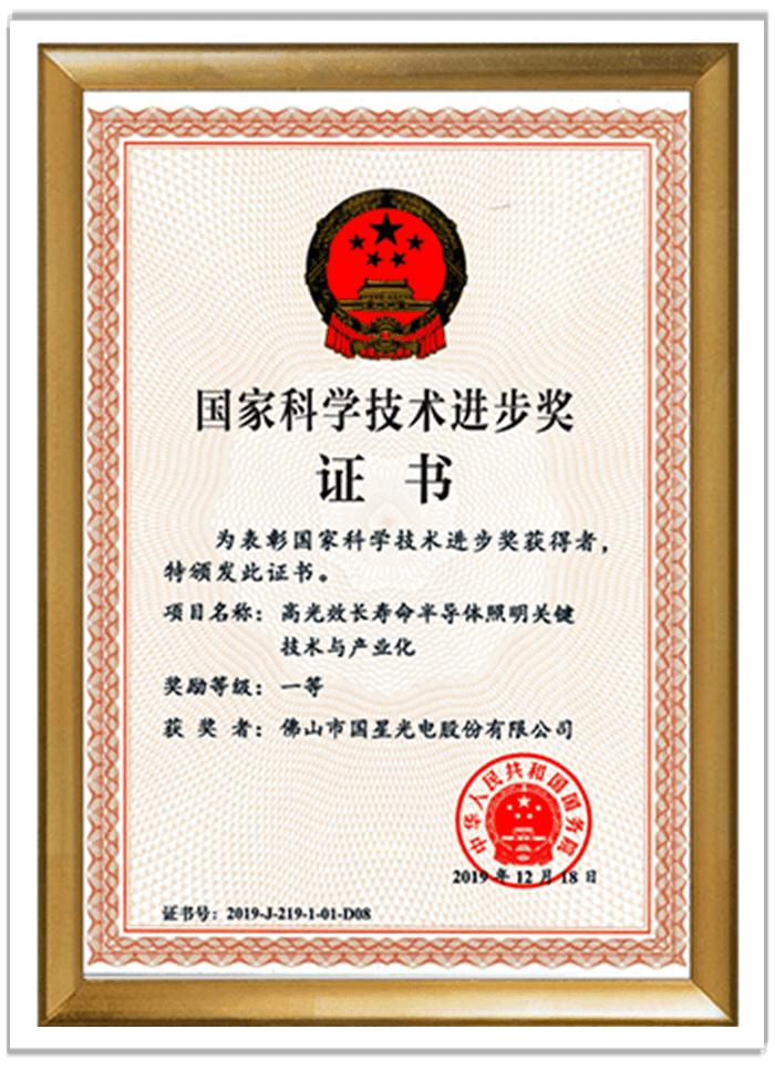 國家科學(xué)技術(shù)進(jìn)步一等獎(jiǎng).png