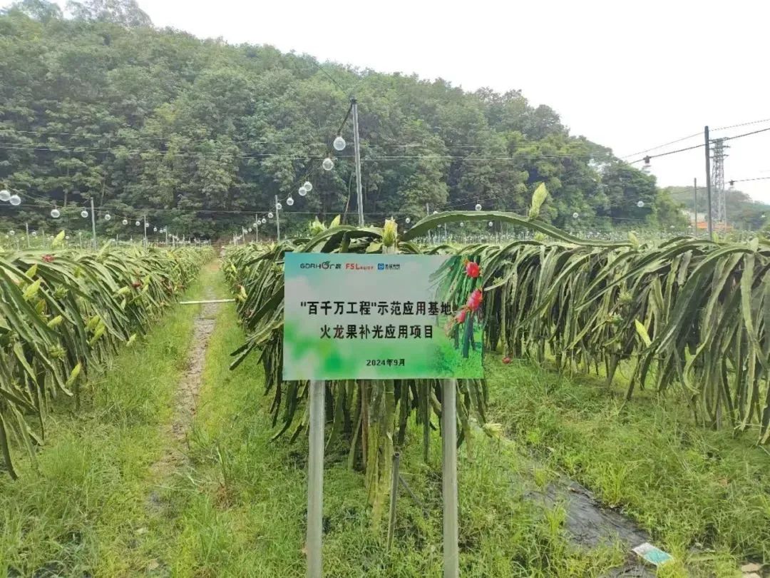微信圖片_20250206090354.jpg