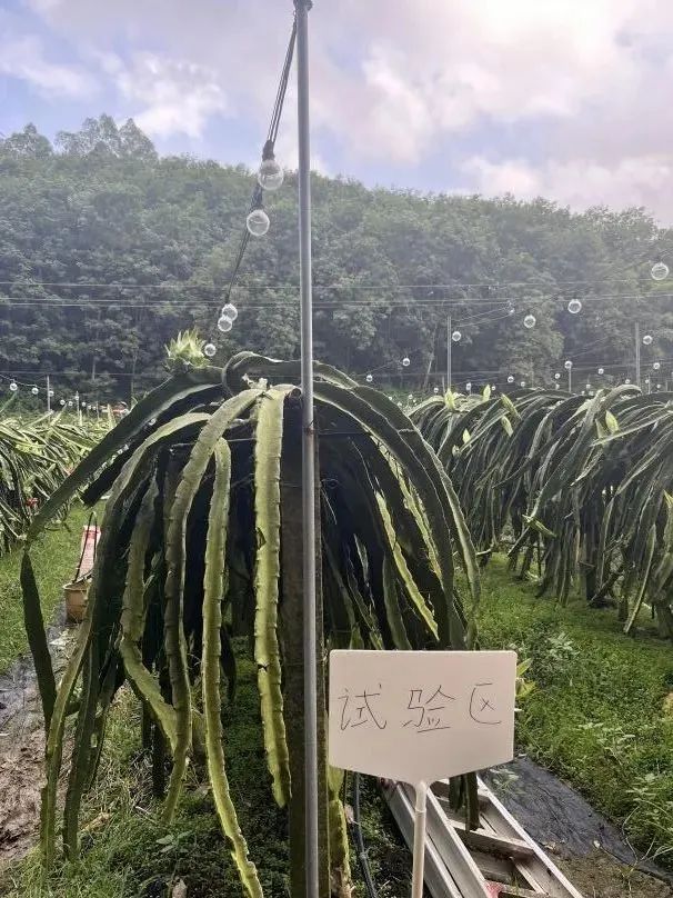 微信圖片_20250206090403.jpg