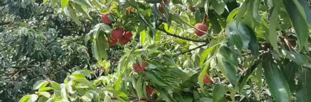 微信圖片_2025-07-23_104418_931.jpg
